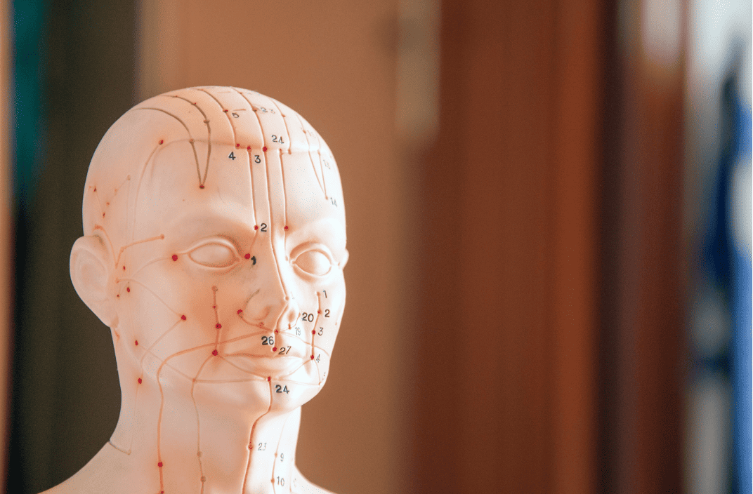 Les méridiens : quand la sagesse ancienne rencontre la science moderne